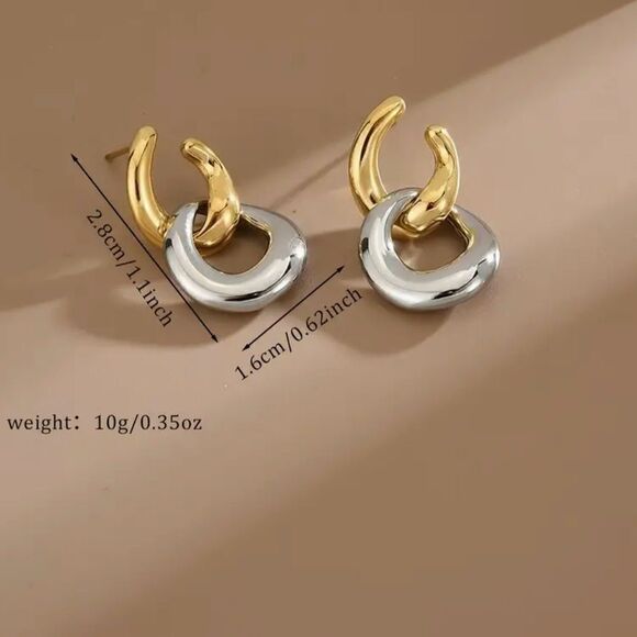 Naked Hanger Double circle geometric two toned stud earrings - Picture 6 of 6